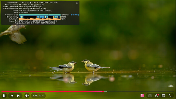image-20260111213124908
