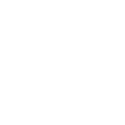 nl-logo-knockout-white-circle@180